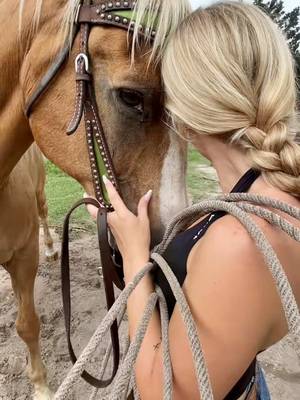 Save a horse or ride a Levi or whatever they say #horsebackriding #leviackerman #aot #fyp #dayinmylife 