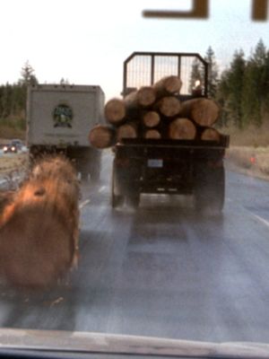 Apologies to all millennials 🪵 #FinalDestination2