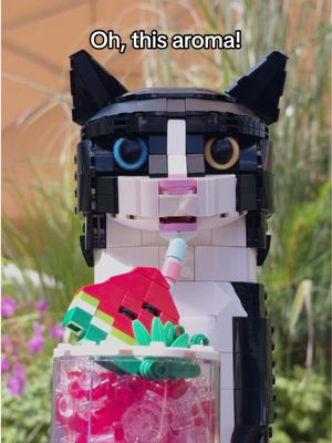 cats 🤝 knocking stuff over #LEGO #Cats #CatsOfTikTok 