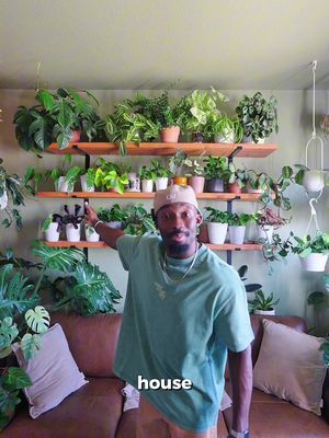 When owning over 300 plants means constantly dirty hands, Must be a Moen! @Moen Incorporated #ad 