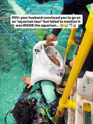 You & me + walking underwater?! 🐠📍👇 Send this to someone who would go on an Underwater Walking Tour with! 🫶🏼 🤿 Did you know that you can take an “underwater walking tour” in this world-class aquarium that houses over 68,000 marine animals including sharks, manta rays, turtles, and tons of vibrant schooling fish?  🪸 This experience at @seaworldyasisland was hands down one of the most incredible of our lives and it NEEDS to be on your bucket list. The Manta Rays gracefully flying through the water, the curious sharks circling over head, the seemingly endless amount of colorful fish, the breathing underwater…it was pure all magic. 🥹  DETAILS BELOW 👇 🏷️Price: Packages start at AED 245 ($66 USD) per person. Wet suit is provided so all you need is to bring your own bathing suit. Reservations required. ⏱️Time: Total expedition time is around 1.5 hours which includes changing time, a tour brief, the tour itself, and shower time. Total time in water is 25 minutes. 🤿Experience: No certification or scuba experience is required for SeaVenture. In fact, you don’t even need to know how to swim. If you can walk and breathe, you can do SeaVenture. No trip to @Visit Abu Dhabi is complete with visiting this ground-breaking park and world’s-largest indoor marine theme park.  #aquarium #underwater #sealife #bucketlist 