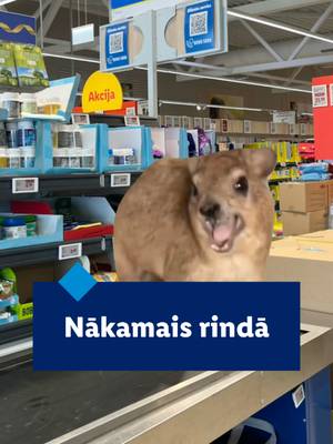 Brīdis, kad katra sekunde šķiet kā mūžība.  🥲 #lidl #fyp #latviantiktok #Lidllatvija #IrVērtīgi