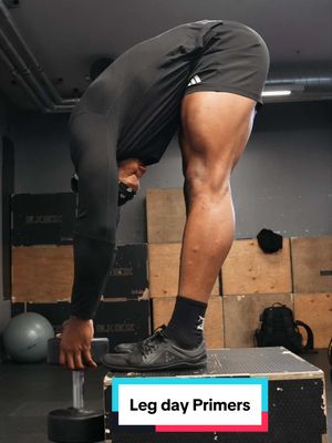 These are some leg day primers I like to perform before my legs or oly lifting session. Basically exercises to help with activation and mobility before heavy compound lifts .  #gymworkouts #gymtock #fitness #fyp #legday 