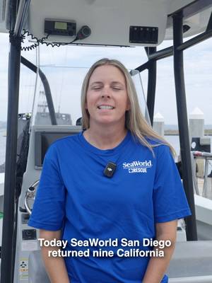 13 rescues. One unforgettable day. 💙🌊 Our Rescue Team returned 13 rehabilitated marine animals to the ocean, including 9 California sea lions, a threatened Guadalupe fur seal, 2 northern fur seals, and a common murre. From fishing line entanglements to severe malnutrition, each animal received the care they needed for a second chance.