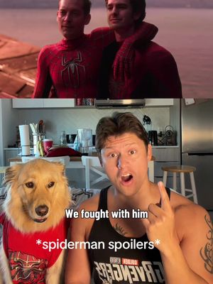 The way we all audibly gasped in the theater when this happened😭 #spiderman #punisher #marvel #brandnewday #peterparker 