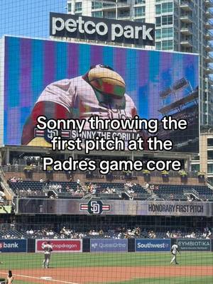 We are so proud!⚾️💛🤎 @Padres #sunbum #padres #sandiegopadres #sandiego #pitch  
