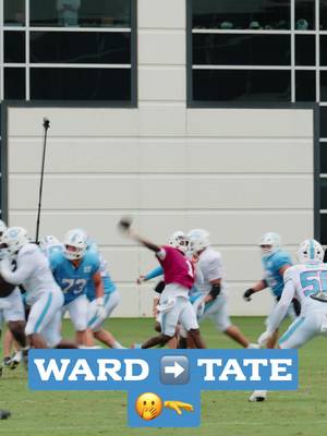 Cam to Carnell connection #tennesseetitans #nfl #highlight  #trainingcamp 