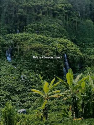 POV: you step outside your Réunion Island villa and see this 🤩 La Réunion is a tiny French-speaking island in the Indian Ocean, situated between Mauritius and Madagascar. Would you visit? 🎥: @Fabienne 📍Paris & beyond  #ReunionIsland #IslandTravel #ReunionIslandVilla #LaReunion #creatorsearchinsights 