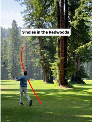 Truly a hidden gem #golf #fyp