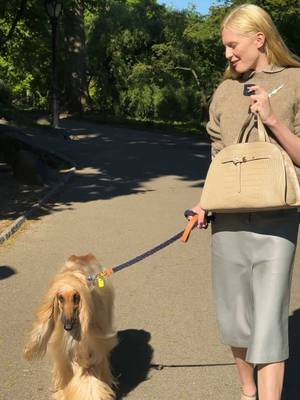 Replying to @adam mitchell exactly! Alex and Dylan out for a stroll with the new Romy Bauletto. #alexconsani #dogsoftiktok #toryburchbag 