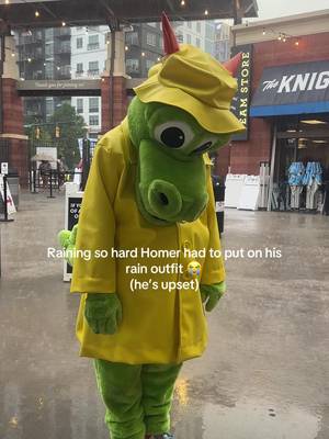 Send good vibes to Homer everyone he needs them #charlotteknights @Homer the Dragon 🐲 