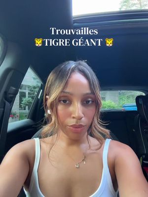 @Tigre Géant Gatineau @GiantTigerStore  🐯🤩 #trouvailles #tigregeant #gianttiger #gianttigerfinds 