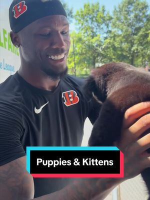 “Dog meet dawg.”