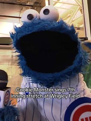 C is for Cubbies & Cookies #cookiemonster #cubs #sesamestreet #wrigleyfield #chicago 