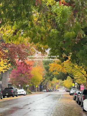 OH MY GOD I CANT WAIT ✨🥹🍁 #sacramentotiktok #sacramento #beginnersguidetosac 