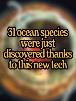 31 new species were just discovered in the ocean’s midwater thanks to amazing new tech… imagine if we prioritized building more solutions like these to learn about & protect our fellow species 🤩