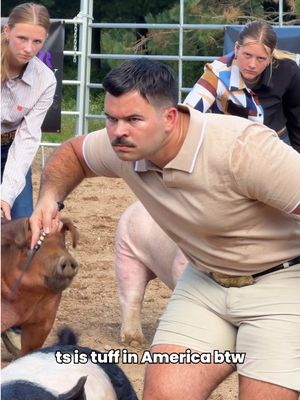 Hog shownanship is an art form that takes years to perfect. The athletes must maintain intense eye contact with the judges to prove they have control of the pig without looking at it. @GeerShowPigs @Dadson Farms #tuff #showmanship #hogs #pigsoftiktok #competition 