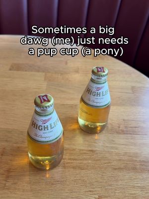 Tag another big dawg that needs one too #millerhighlife #beer #drinks #pony #bar 