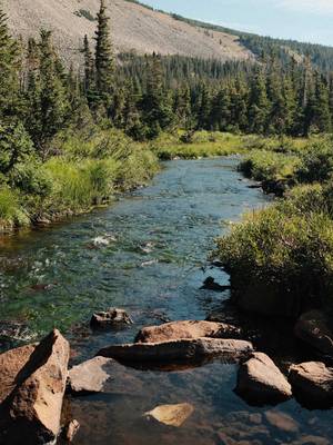Listen 2-3x to reset yours 🫶🏽 #naturepeace #relaxingsound #calmingview #naturelovers #peacefulscenes 