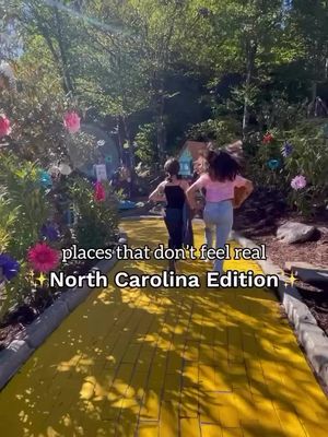 Places that don’t feel real in North Carolina 😍 follow me, for more NC/SC content 🥰 #northcarolina #ncbucketlist #travel #visitnc #ncmountains 