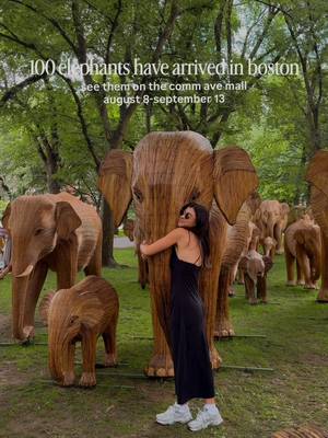 one of the most beautiful free experiences of the summer is arriving in boston 🐘 starting this saturday, august 8, commonwealth avenue mall will be transformed by 100 life-size elephant sculptures handcrafted by Indigenous artisans from india’s nilgiri biosphere reserve as part of the Great Elephant Migration—a global public art installation celebrating conservation, culture, and community. the exhibition stretches from arlington street to fairfield street and is completely free to explore through september 13. save this for your next stroll through back bay 🤍 📍 commonwealth avenue mall 🗓️ august 8 – september 13 🎟️ free