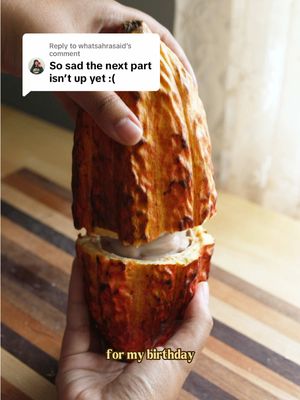 Replying to @whatsahrasaid part 2 of making chocolate from scratch! #BitesByBianca #NYCCreator #HomemadeChocolate 