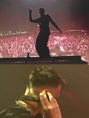 Dog Blood in our veins woof woof bark bark bow wow @skrillex @boysnoize #portola #musicfestival #portolafestival 