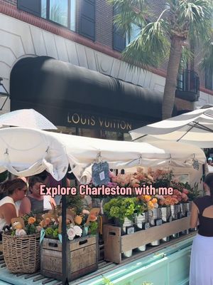🌴 🌸 ☀️ 🦐 #charlestonsc #girlstrip #kingstreet #fyp 