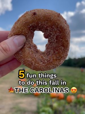 5 FUN THINGS TO DO THIS FALL IN THE CAROLINAS 😍❤️ Follow me for more gems in the Carolinas! 💎 #fall #northcarolina #southcarolina #thingstodoincharlotte #charlottenc 