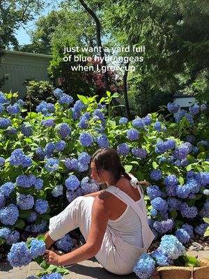 just want a garden like my mamas!   #Summer #hydrangea #hydrangeas #eastcoastsummer #eastcoast 