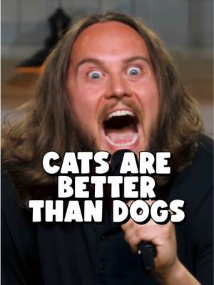 Happy International Cat Day 🐱 #catsofinstagram #catpeople #funnycats #standupcomedy 