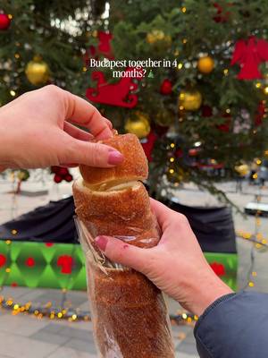 I knooow it’s still eurosummer buuuut christmas markets in Europe start opening in about 3 months from now 👀 Major Budapest christmas markets are opening around mid November! 🎄 Who else is ready for the colder seasons? ❄️