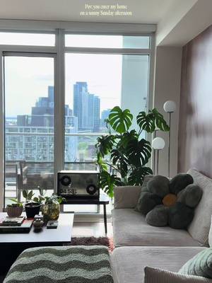 Shoes off at the door please🙂‍↕️ #cozyhome #homeinspo #homedecor #houseplants #homestyle 