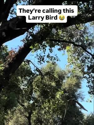 😭 
