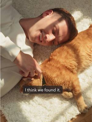 With Apartments.com Ai, all you have to is ask to find your perfect pet-friendly place.