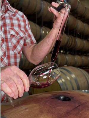 One of the final steps: barrel aging the payoff to an extended cold fermentation. Using cryo-extraction, we drop the fruit to near-freezing (20–30° cooler than most wineries) and hold it there three to four weeks, where most wrap in one. That's what builds the supple tannins, lush fruit, and deep, rich color.  That’s patience you're smelling. 🍷