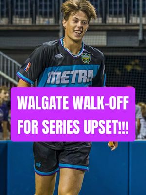 RJ WINS IT IN CHICAGO!!! WALK-OFF HR TO WIN THE SERIES VS 1ST-PLACE D-BACKS! #MLW #wiffle #wiffleball #baseball #majorleaguewiffle 