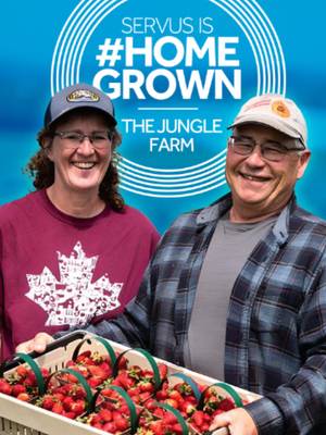 🍓🌱 Growing food. Building connections. Creating memories. That's what #homegrown means to Leona Staples of The Jungle Farm near Red Deer. Through hands-on farm experiences, Leona and her team help people connect with where their food comes from and learn more about Alberta agriculture. ✨ Visiting Open Farm Days this weekend? Stop by The Jungle Farm for complimentary u-pick baskets (while supplies last), play games and more! 📍 The Jungle Farm, Red Deer County 🗓️ August 15 ⏰ 9 a.m. to 4 p.m. #OpenFarmDays #albertaagriculture #TheJungleFarm #FarmTok