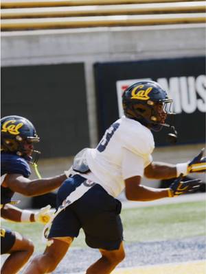dialed.  #GoBears