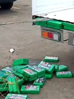 A massive cocaine bust near Ecuador's border with Colombia comes with a bizarre twist: hundreds of packages feature the face of soccer superstar Erling Haaland. Police say they seized nearly 800 pounds of cocaine packed into 370 packages and arrested the truck driver. Officials estimate the haul amounts to roughly 7.7 million doses.