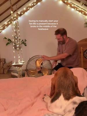 I think this is how they used to do it in the medieval times x #heatwave #ukheatwave #fan #peasant #bassethound 