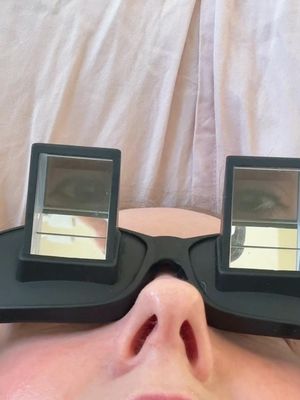 Meilleur achat j’assume 🐸 #fyp #lazyglasses #BookTok 