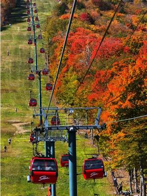 GONDOLA RIDE DETAILS 👇🍂 🚠 Stowe Gondola SkyRide @stowemt  🍁 Soar to the top of Vermont’s highest peak, Mount Mansfield, and experience breathtaking views of the Green Mountains and beyond. This is such a fun way to see the fall foliage! 🍂 At the top, you can explore hiking trails, enjoy picnic areas, order a fresh waffle with pure Vermont maple syrup, or just take in the stunning views from the observation deck. 💰 Tickets: Prices for a round-trip ticket generally range from $25 to $40 for adults, with discounts for children and seniors. Check the official website for seasonal promotions. 🫶🏼 Accessibility: The gondola is wheelchair accessible, making it easy for everyone to enjoy  the ride. Send this to someone you’d love to ride the gondola with! ❤️ #autumn #vermont #gondola #fallfoilage #fall