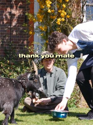 I tested pet friendly hotels with a goat 
