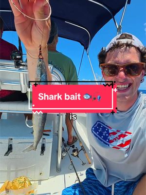 We Fished for Shark Bait 🐟🎣 #fishing 
