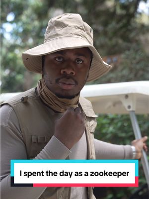 I spent the day as a zookeeper…