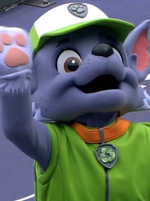 🗿 #MLB #pawpatrol #what