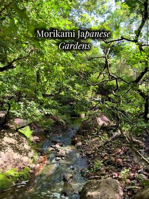 South Florida Japanese Gardens🪴 📍Morikami Japanese Gardens #southflorida #japaneseculture #daytrip #nature #relaxing 