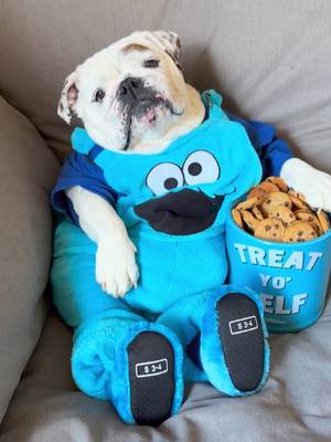 Me on a weekend...🍪 #weekend #vibes #foryoupage #cookies 