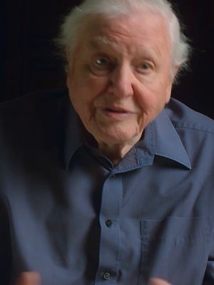 Emmy-nominated at 100 years old and still as passionate about preserving our oceans as ever 💛 🎥: Ocean with David Attenborough
